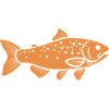 trout