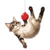 Cat acrobat ball game