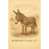 Donkey wisdom at rest