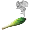 CHICON DE CHICHON - Bellegique