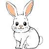 T-shirt lapin cadeau