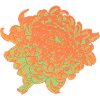 Chrysanthemum Neon Floral