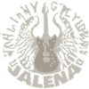 Guitare Jalena