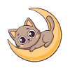 Kitten on Lunar Crescent