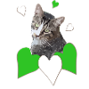 Cat Love Tabby Cat Green Hearts