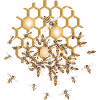 Detailed swarm of bees on honeycomb