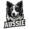Australian Shepherd – Aussie Pride