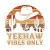 Yeehaw Vibes Only – Western Retro