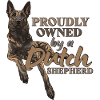 Dutch Shepherd - Dutchie 