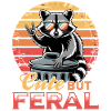 Funny Raccoon