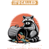 Funny Raccoon