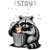 Funny Raccoon