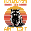 Funny Raccoon
