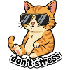 Dont Stress Cat
