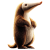 Anteater Tamandua Anteater Large anteaters