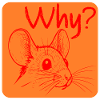 Why Mouse Irritation
