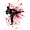Karateka Red Drops on Black Night