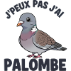 Chasseur Palombe Tradition Sud Ouest Palombière