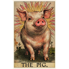 Cochon Cochon