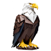 Origami Eagle Geometry