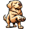 Golden Retriever Goldie Goldieowner Goldies