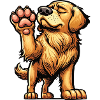 Golden Retriever Goldie Goldieowner Goldies