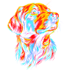 Dogs
