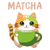 Matcha Cat