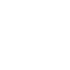 Mudi Profile Chien Chien Wilsigns