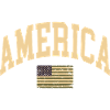 America Camouflage Flag