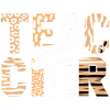 Computer Science Lehrer Tiermuster Stil