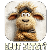 Really? Astonished Wool Monster Sheep