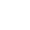 Flat-Coated Retriever
