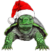 Turtles Christmas