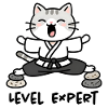 Chat Sensei Karaté Zen