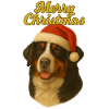 Berner Sennenhund Merry Christmas Pullover