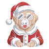 Weihnachtshund im Santa-Outfit