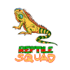 Reptile Squad Iguana Crew Graphic