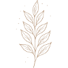 Mystic Leaf Line Art