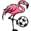 Flamingo Fußball Comic