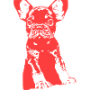 Bouledogue