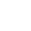 Stay Wired Squirrel