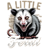 Funny Opossum