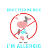 Lactose Intolerance Flatulence Milk Allergy