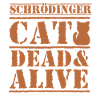 Schrödingers Katze