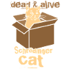 Schrödinger's cat
