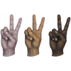 PEACE HANDS ALL EQUALS - peace & love