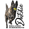 Dutch Shepherd - Dutchie 