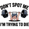 Don't spot me, I'm trying to die - Funny Gym Cat