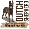 Dutch Shepherd - Dutchie 